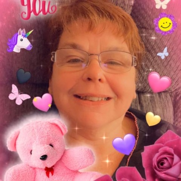 Meet your Posher, Ginger - Picture 1 of 1